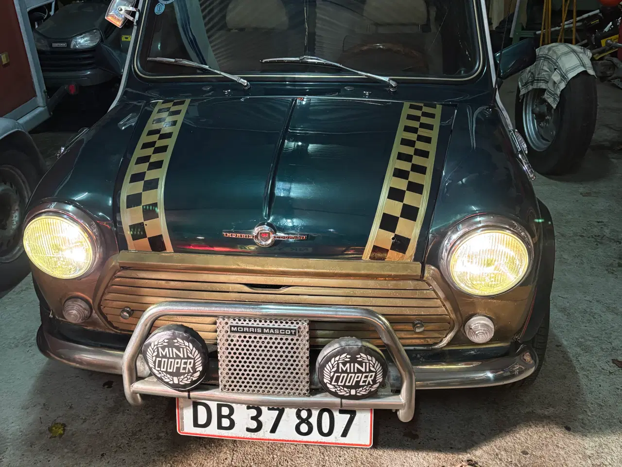 Billede 19 - Morris Mascot