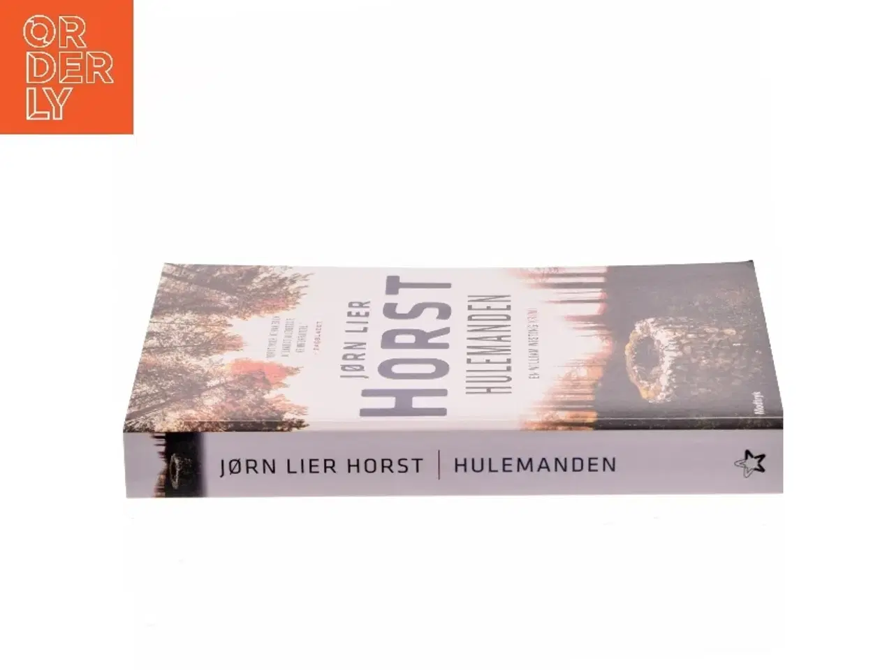 Billede 2 - Hulemanden af Jørn Lier Horst (Bog)