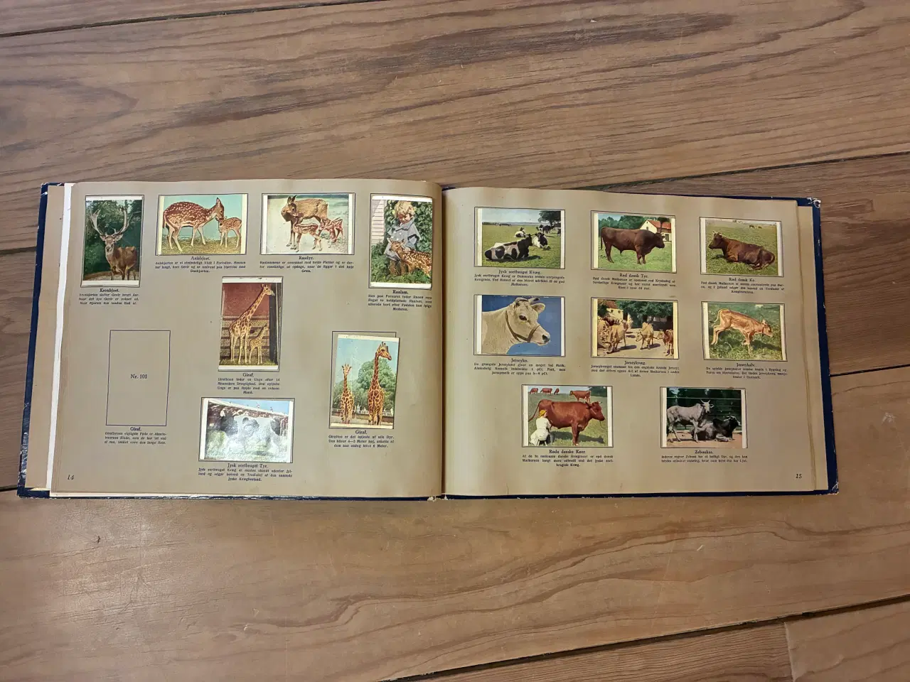 Billede 5 - Samlealbum fra Richs og Danmarks Serien