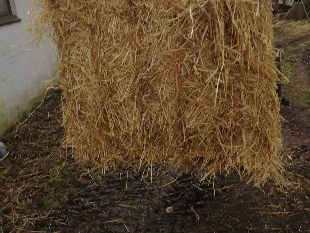 Billede 3 - Byghalm sælges
