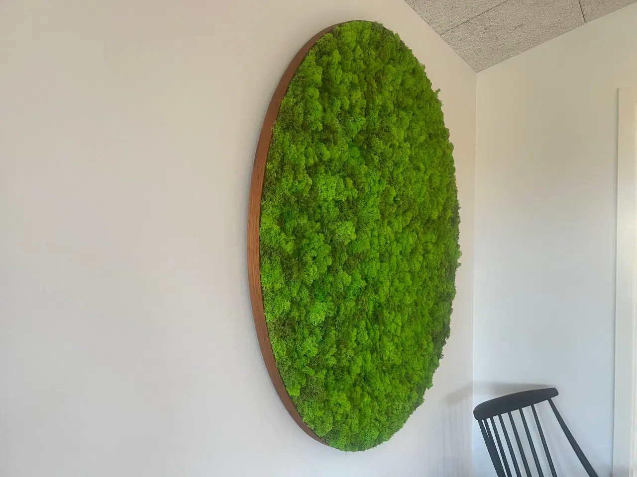 Billede 18 - Mos billeder vi laver 