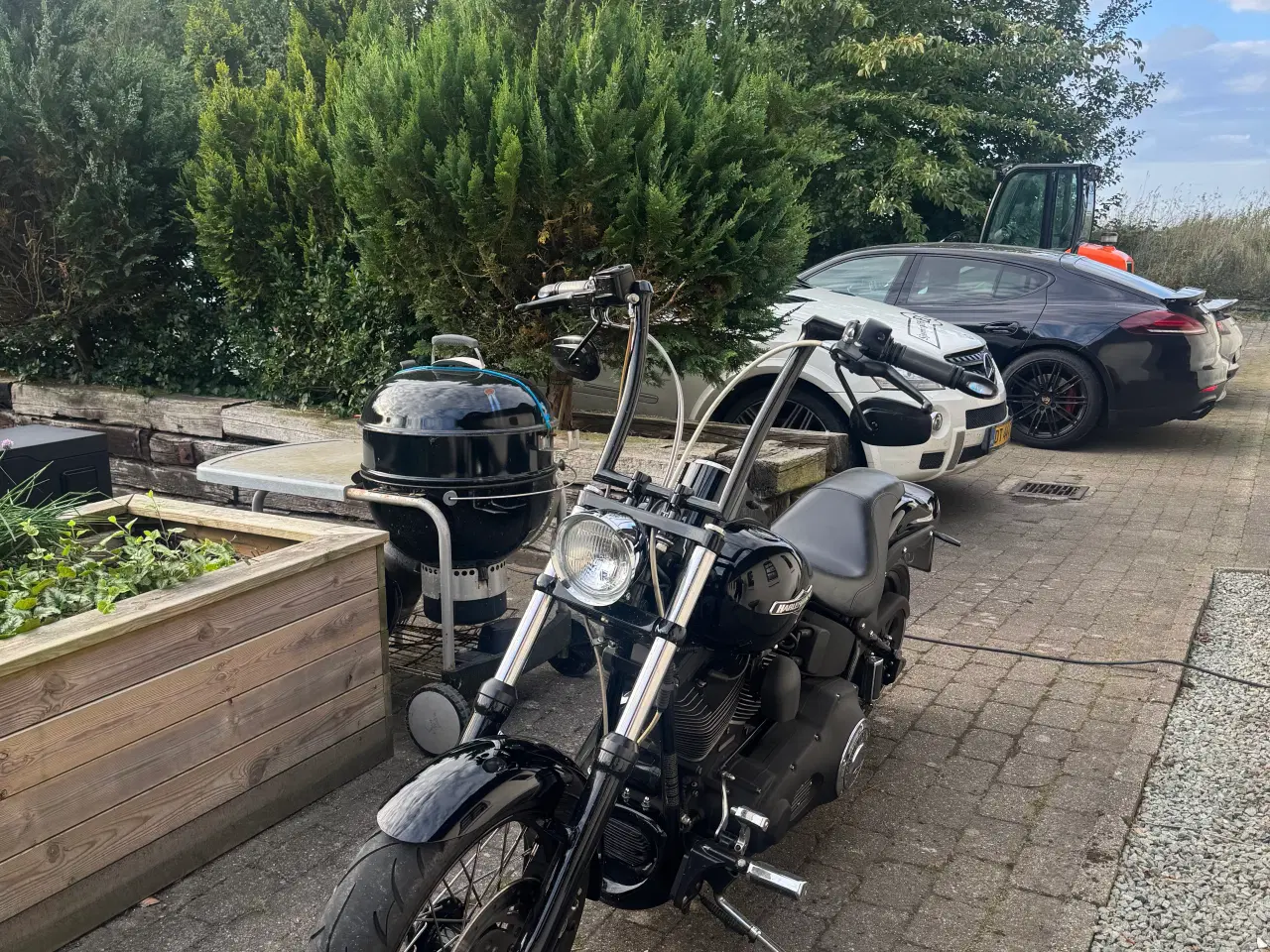 Billede 7 - Harley - Night Train