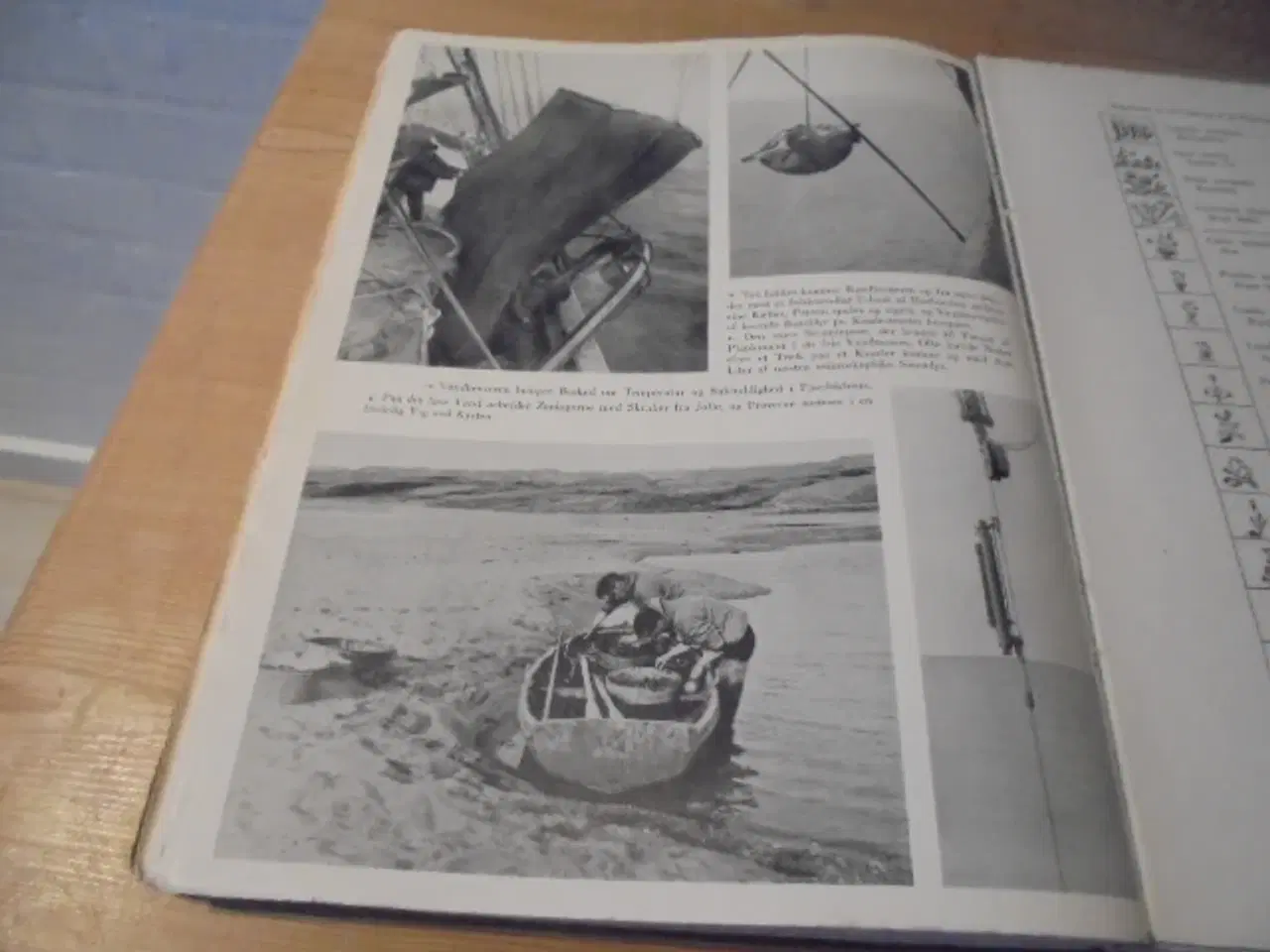 Billede 6 - Med treaars ekspeditionen til Chr. X’s Land  