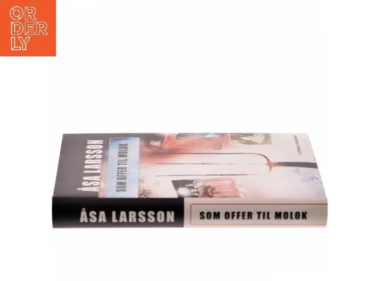 Billede 2 - Som offer til Molok af Åsa Larsson (Bog)