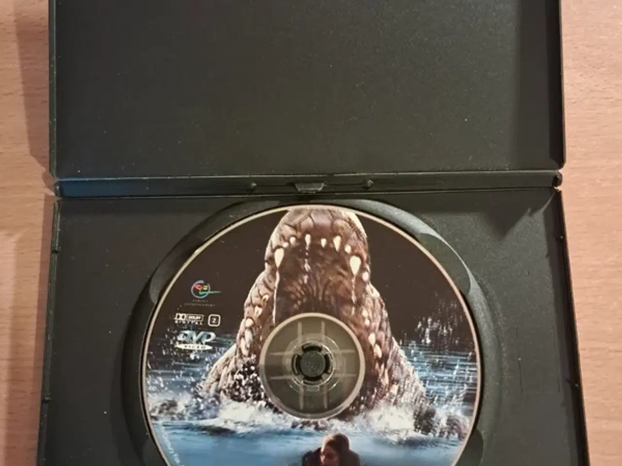 Billede 3 - Lake Placid