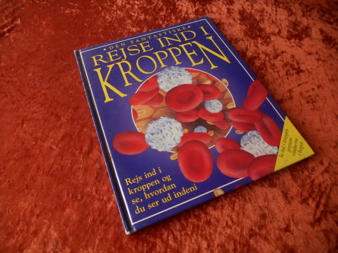 Billede 1 - Den fantastiske rejse ind i kroppen, Nicholas Harr