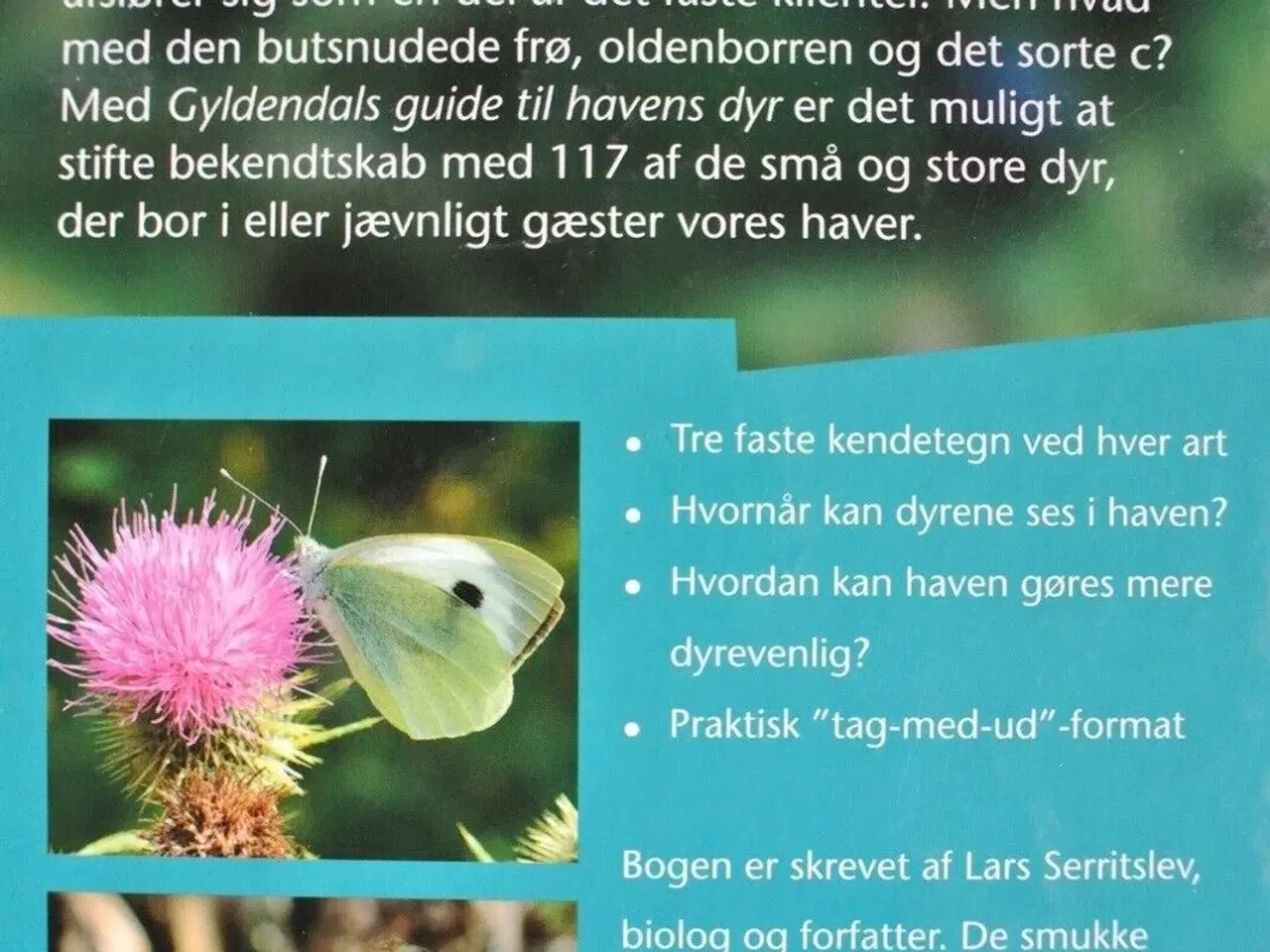Billede 3 - gyldendals guide til havens dyr, Af lars serritsle