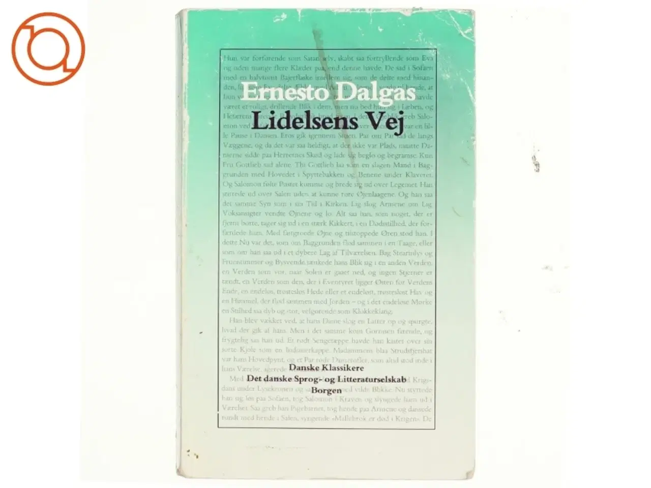 Billede 1 - Lidelsens vej af Ernesto Dalgas