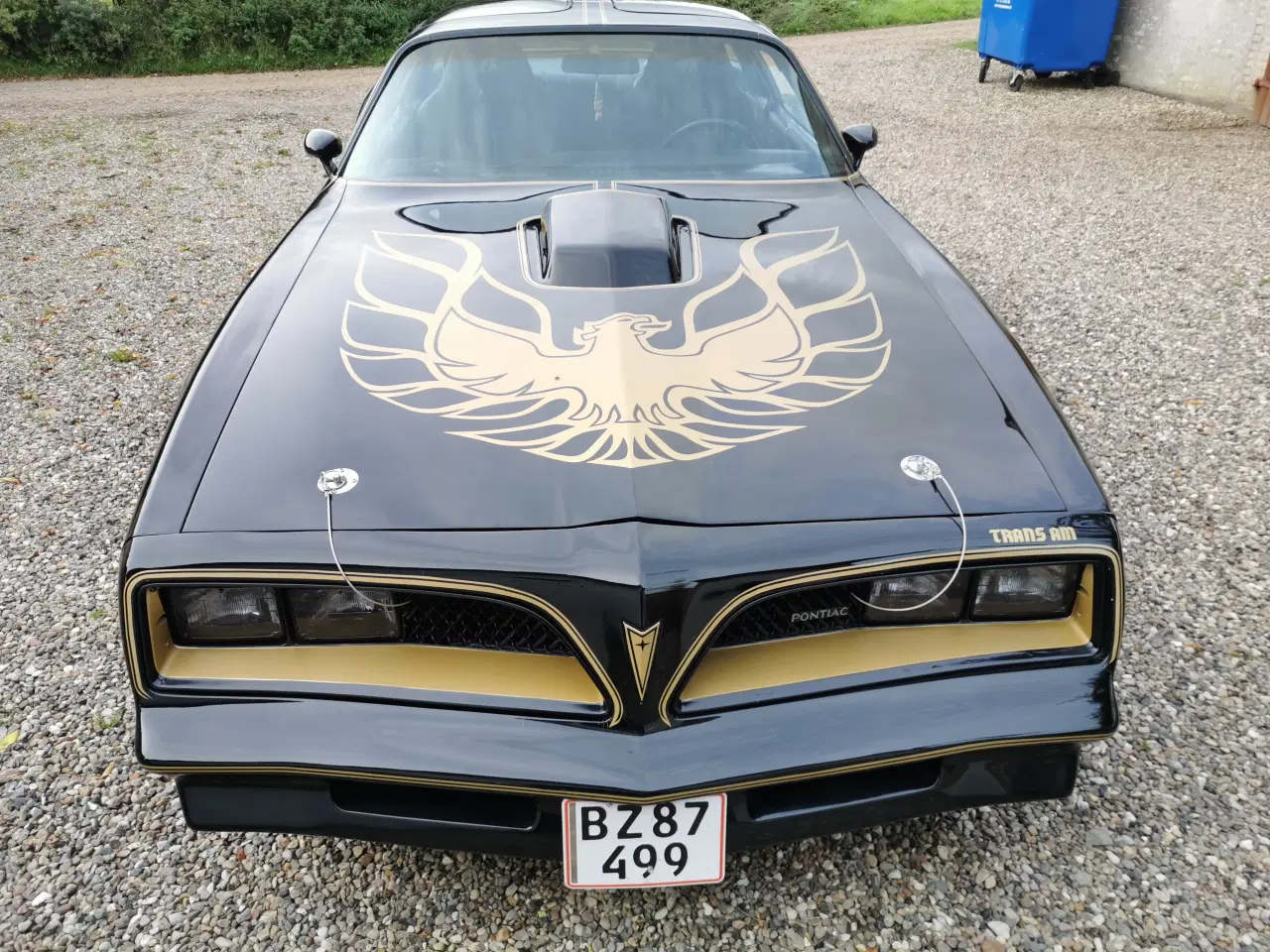 Billede 4 - Pontiac trans am