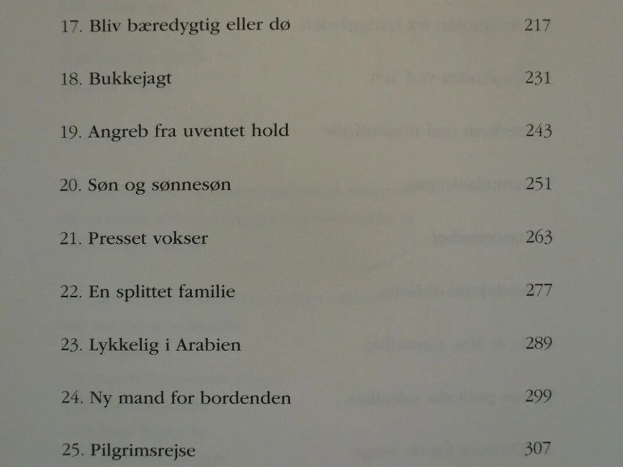 Billede 3 - arvtageren - niels due jensen, af birgitte erhardt
