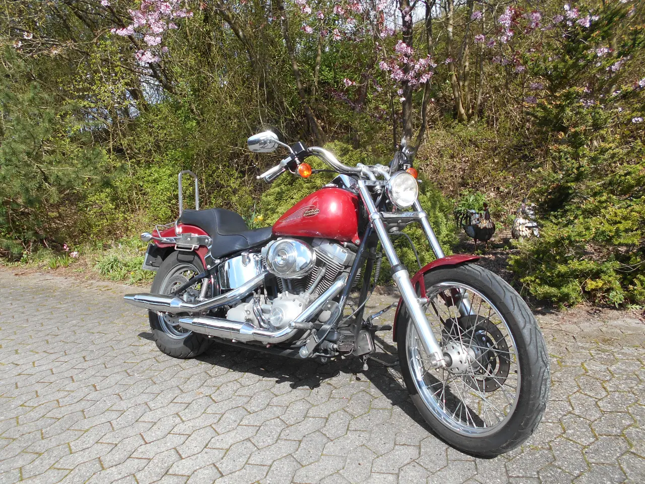 Billede 4 - Harley-Davidson Softail Standard sælges