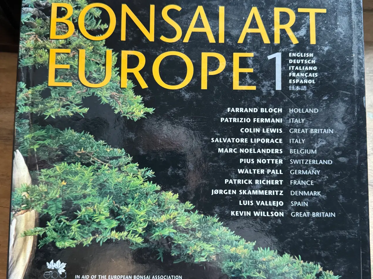 Billede 1 - Japansk have ,bonsai, japansk home