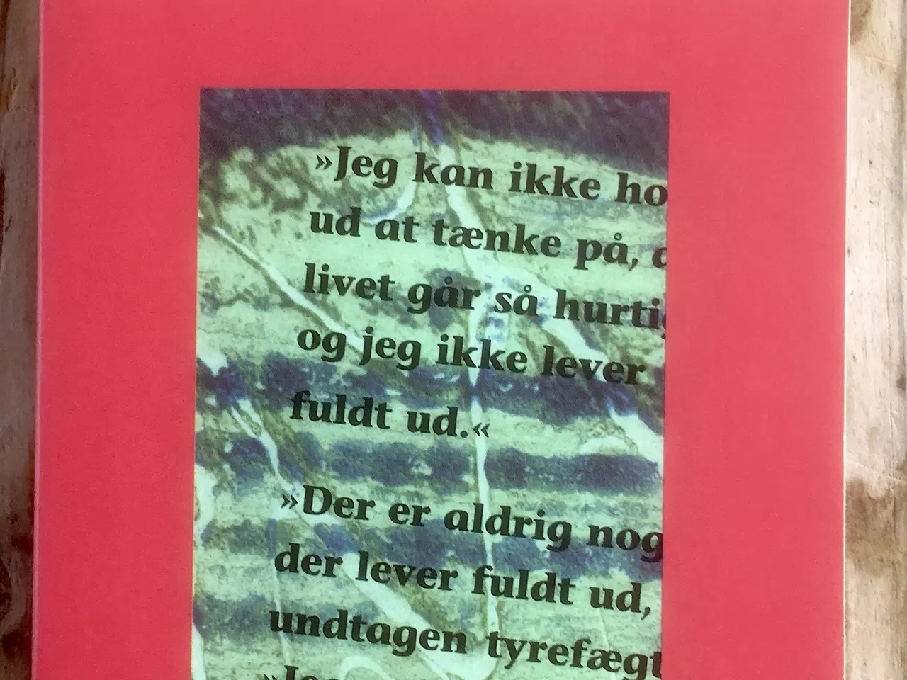 Billede 1 - Solen går sin gang, Ernest Hemingway