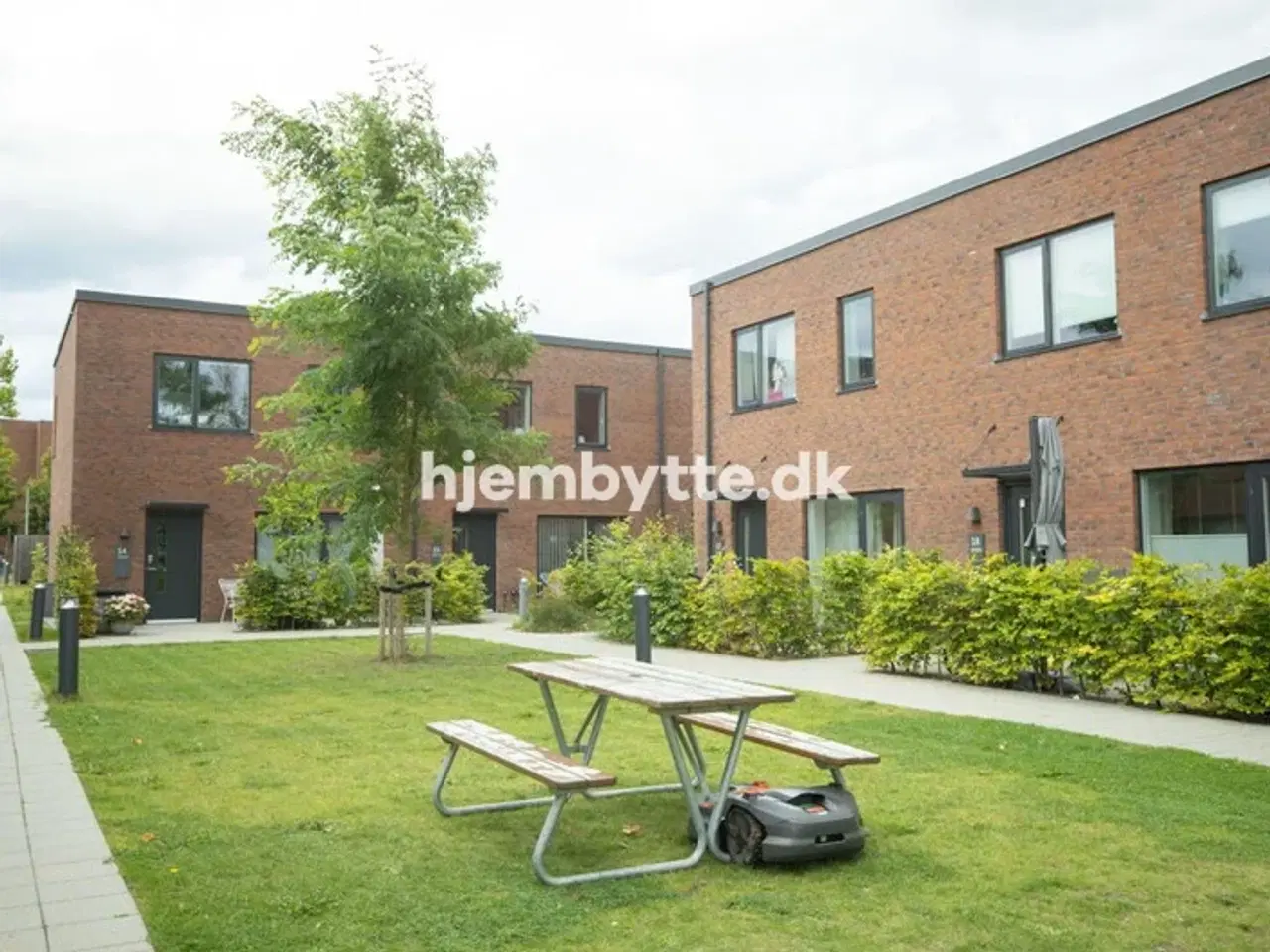 Billede 4 - Hjembytte - Lundeparken