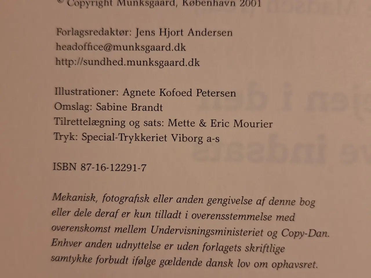 Billede 2 - Sygeplejen I den palliative indsats 