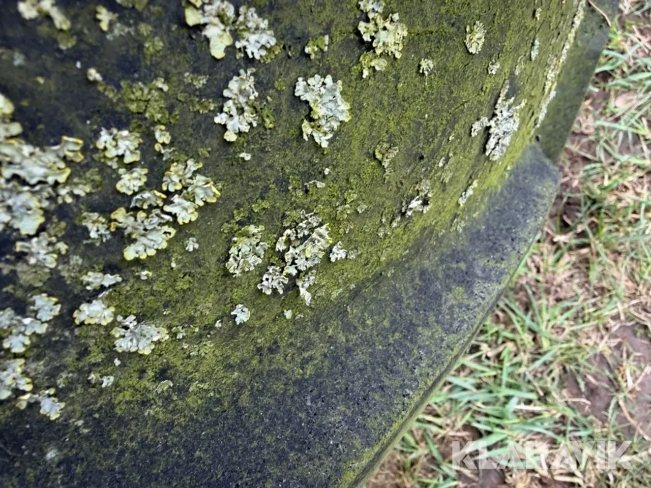 Billede 8 - Traktordæk Michelin 4 styk