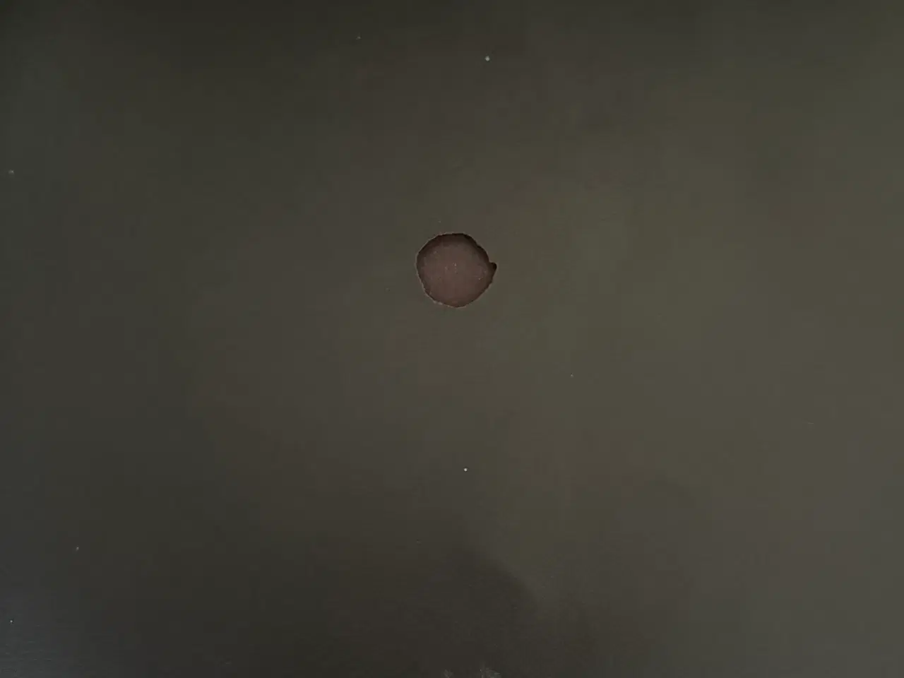 Billede 3 - Spisebord s stole 