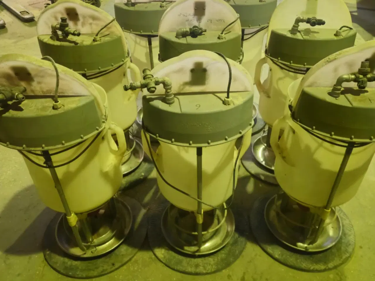 Billede 8 - DLG First Feeder