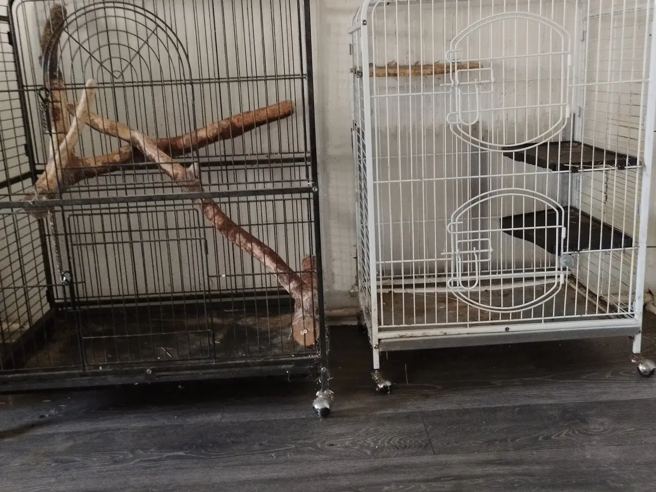 Billede 1 - 3 bure brugt til chincillaer.
