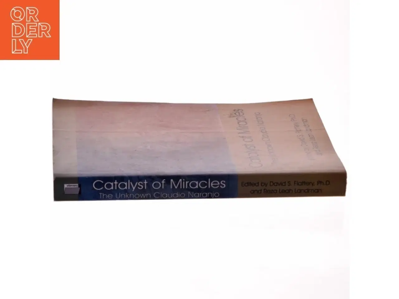 Billede 2 - Catalyst of Miracles af David S. Flattery (Bog)