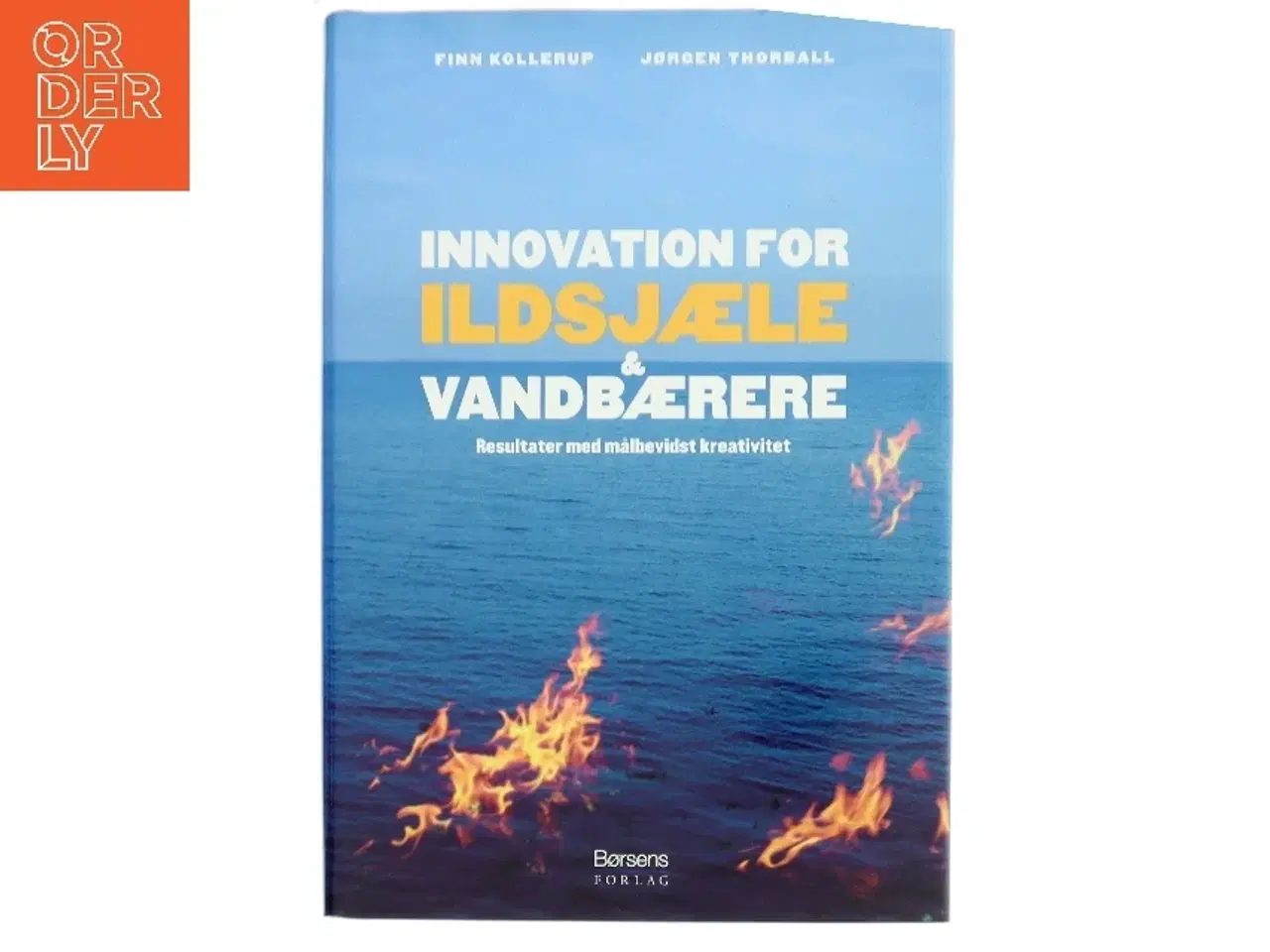 Billede 1 - Innovation for ildsjæle & vandbærere : resultater med målbevidst kreativitet (Bog)