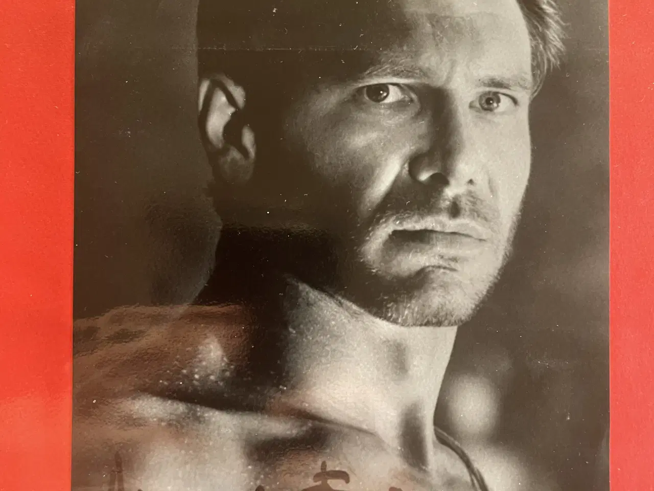 Billede 1 - Autograf af Harrison Ford (12x18cm) !