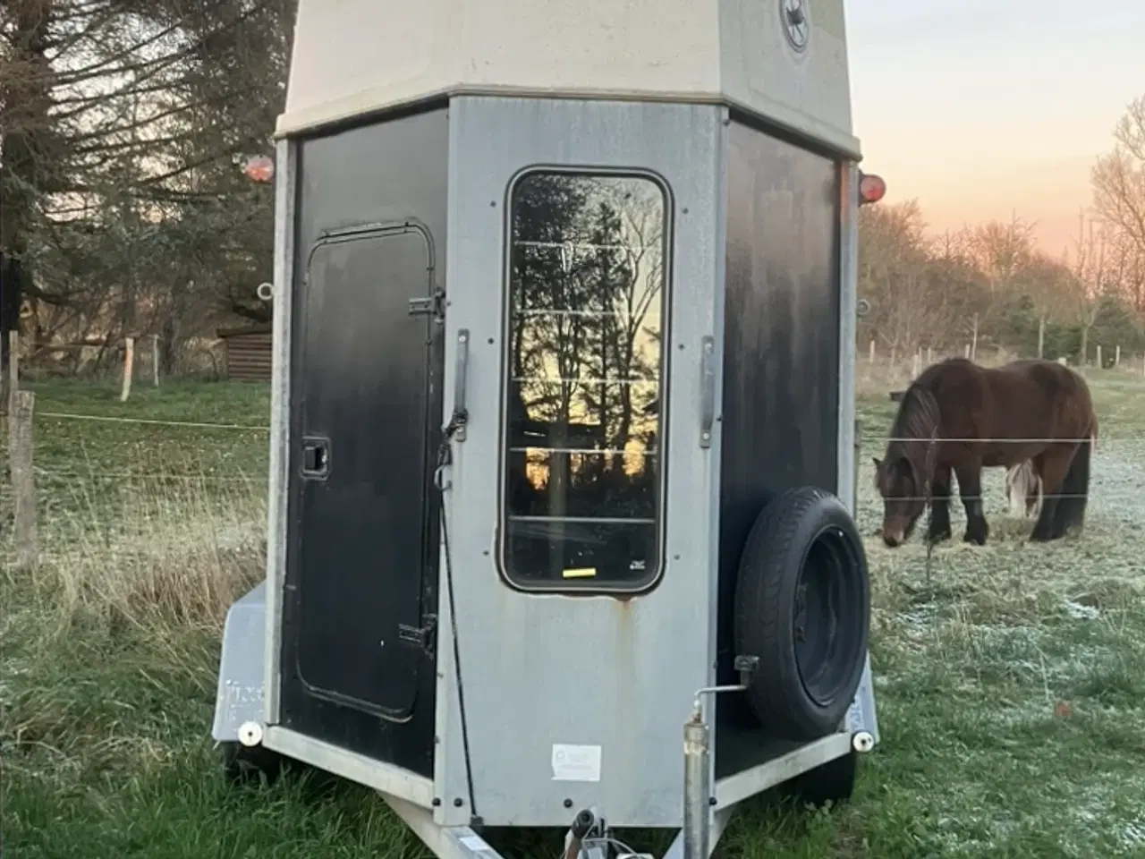 Billede 2 - Hestetrailer