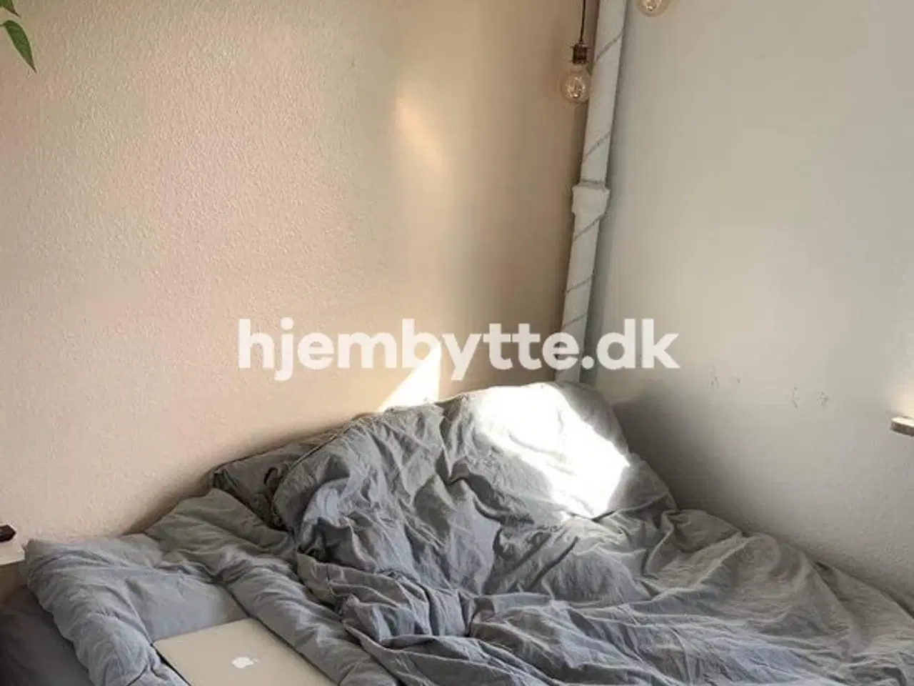 Billede 4 - Hjembytte - Skansebjerg