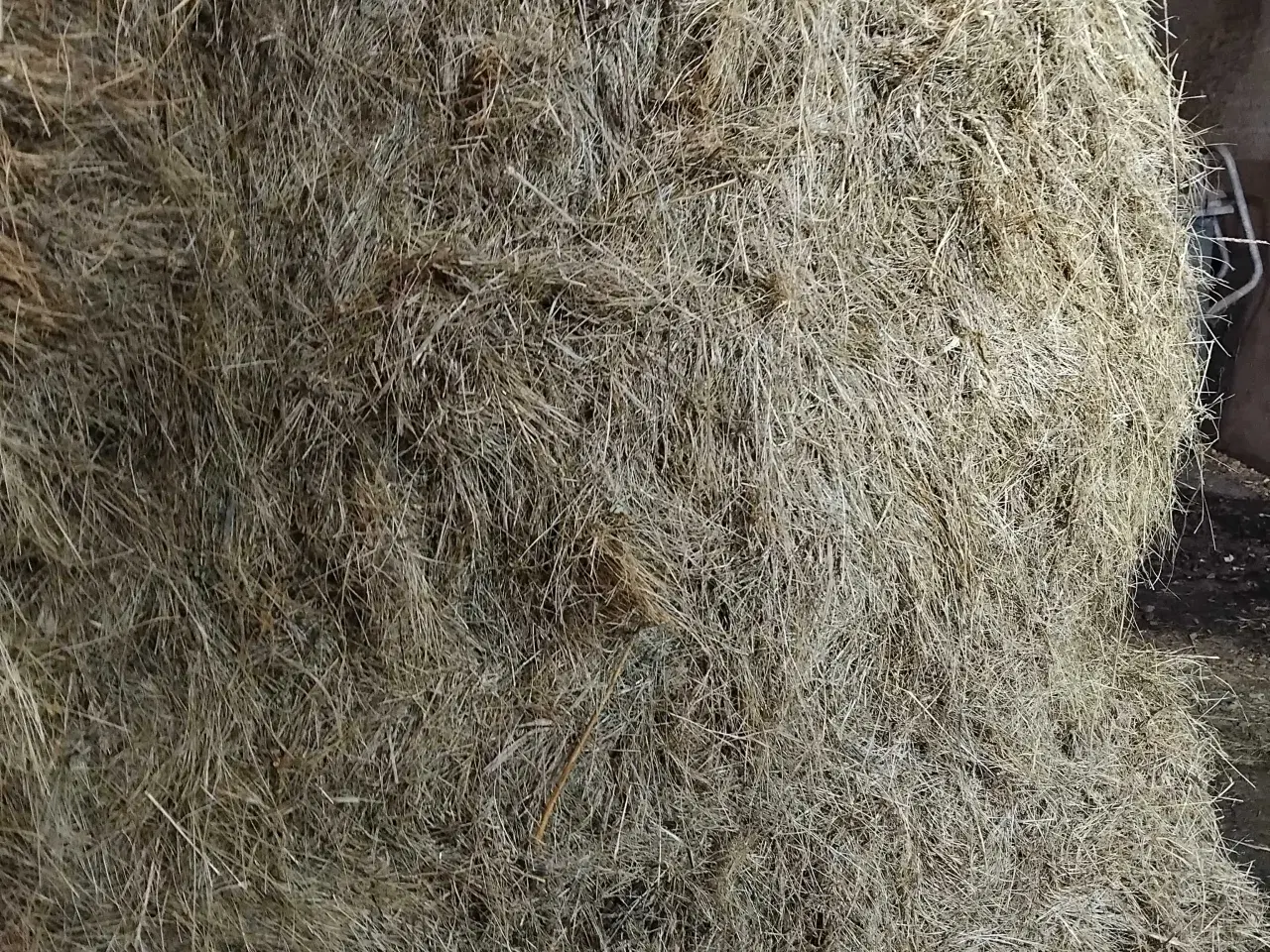 Billede 1 - Hø velegnet til heste