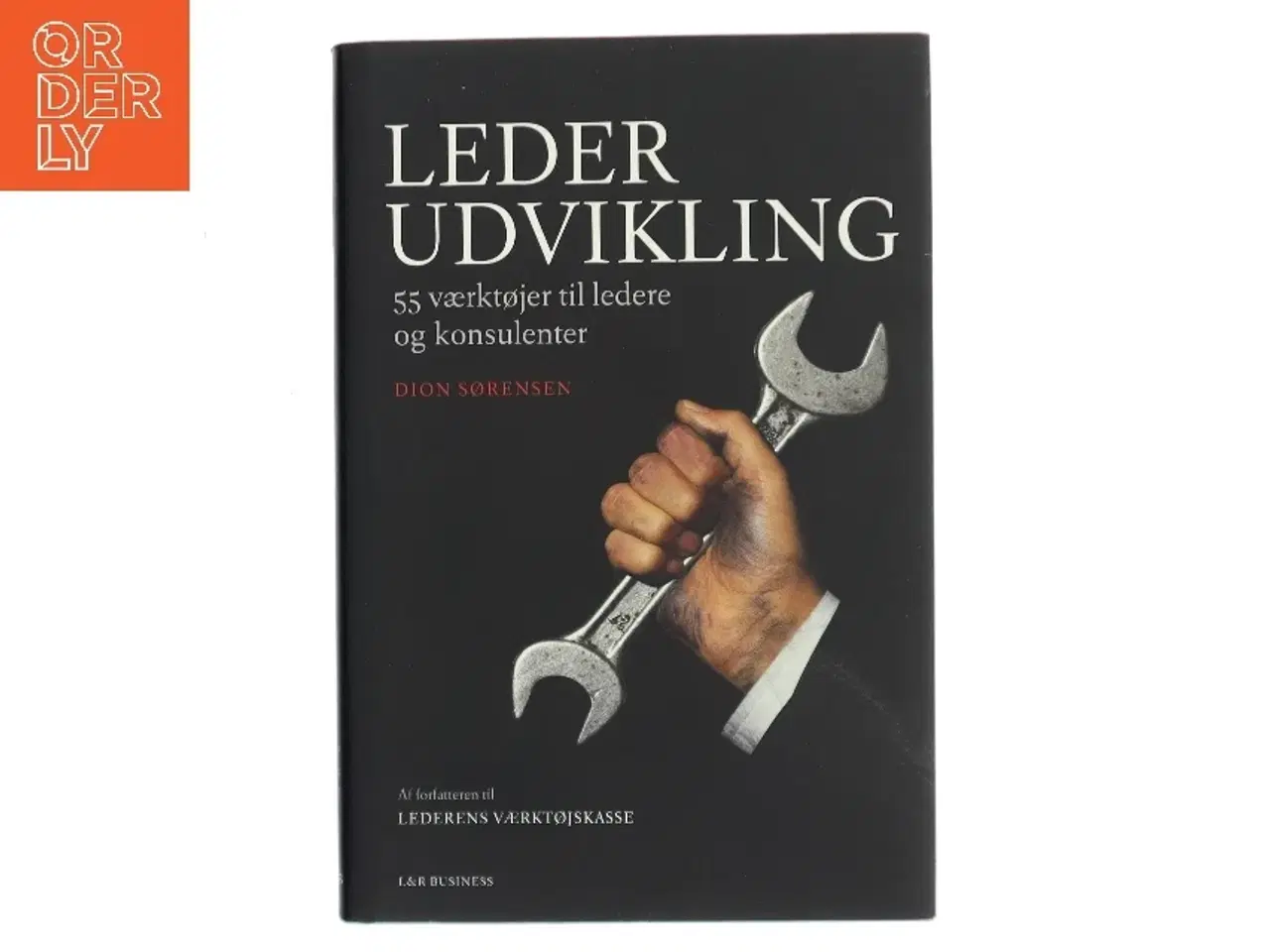 Billede 1 - Lederudvikling : 55 værktøjer til ledere og konsulenter af Dion Sørensen (Bog)
