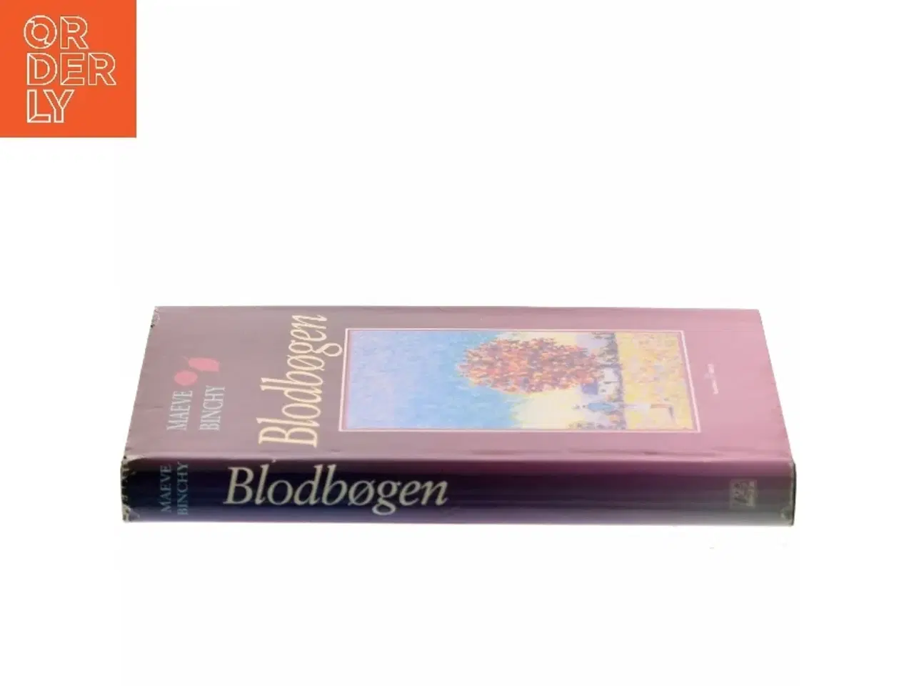 Billede 2 - Blodbøgen af Maeve Binchy
