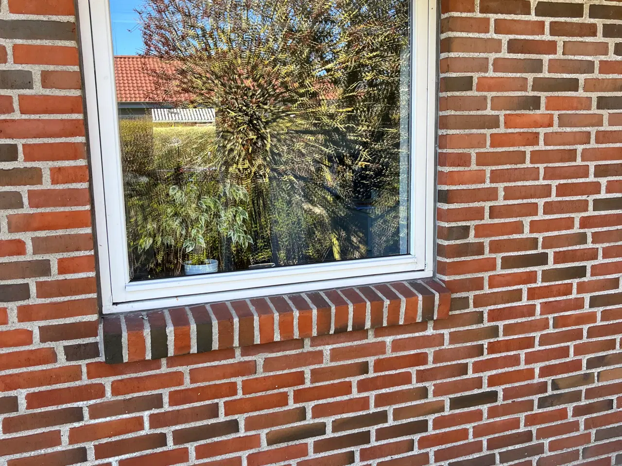 Billede 6 - Vinduer og døre. Gratis afhentning. 