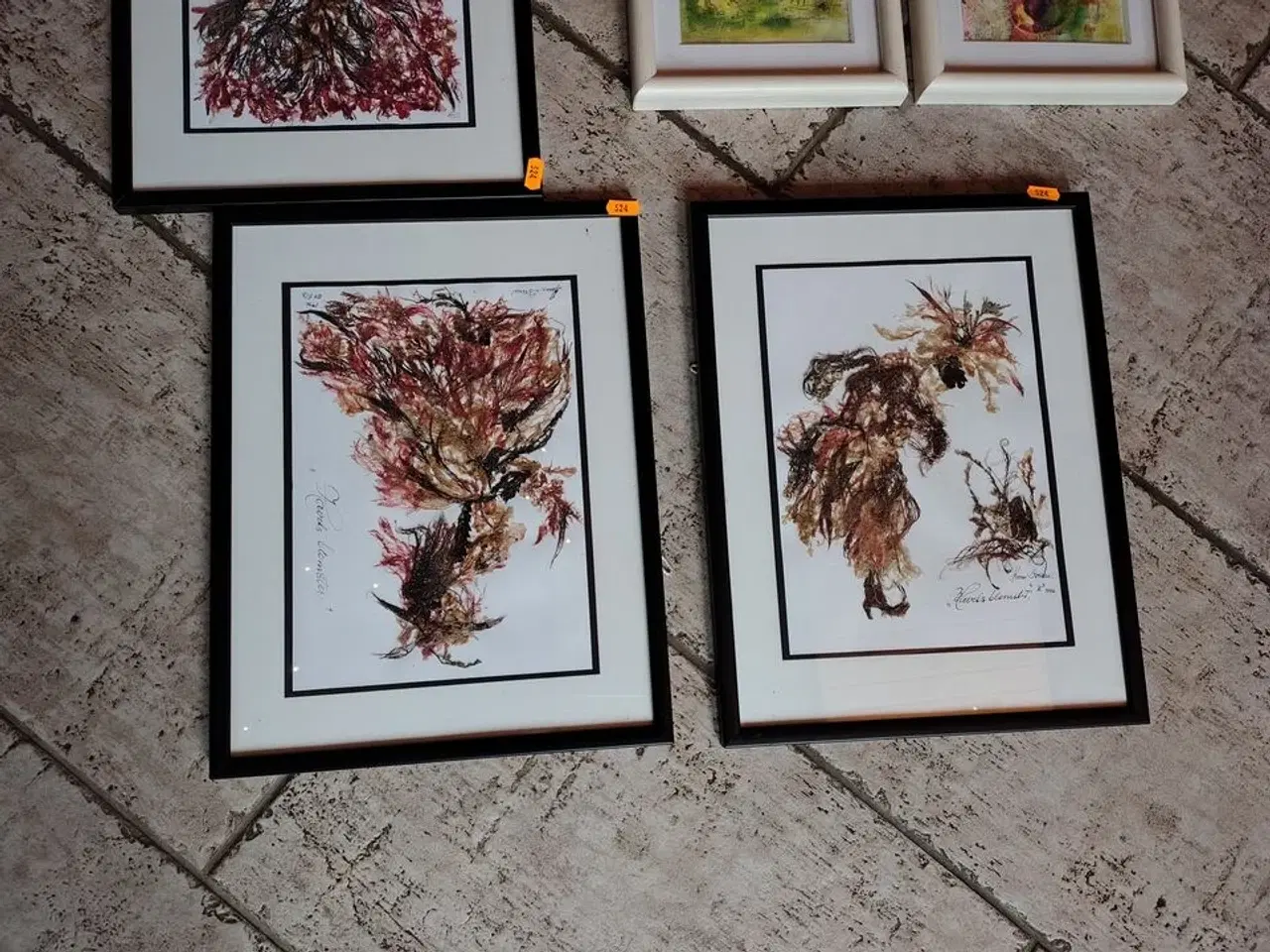 Billede 2 - 5 Anna Svane billeder