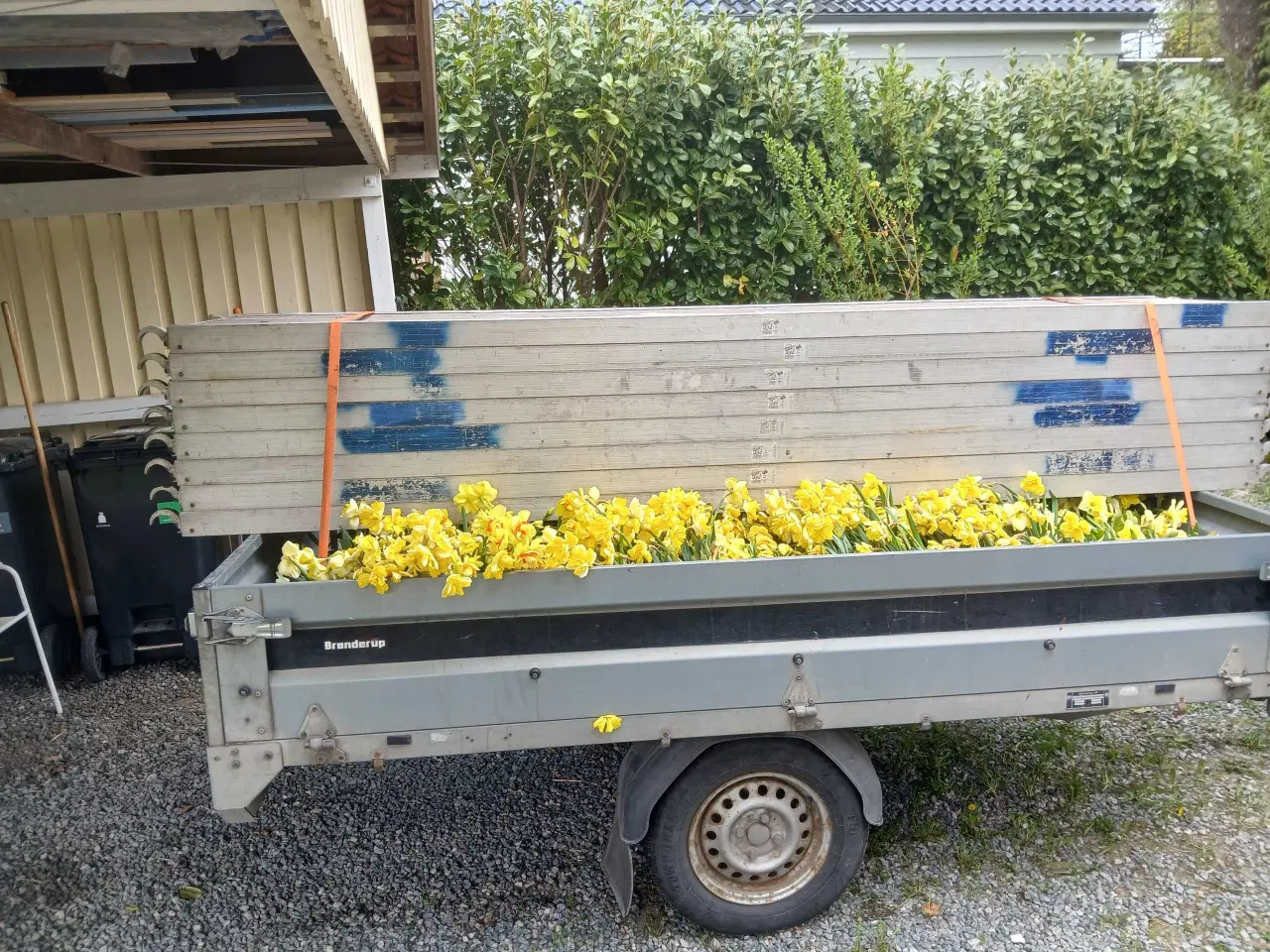 Billede 2 - Jumbo Stilladsplader. 
