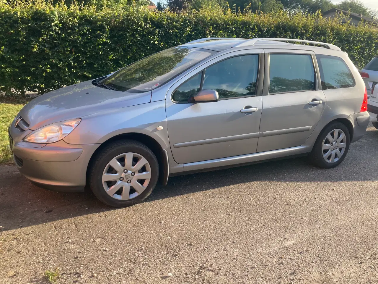 Billede 11 - Peugeot 307