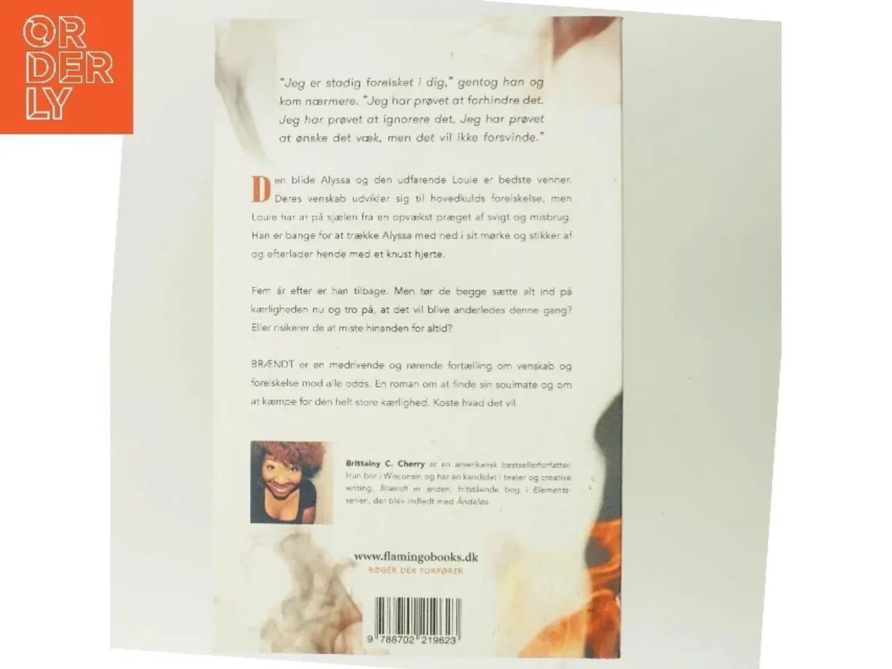 Billede 3 - Brændt af Brittainy C. Cherry (Bog)