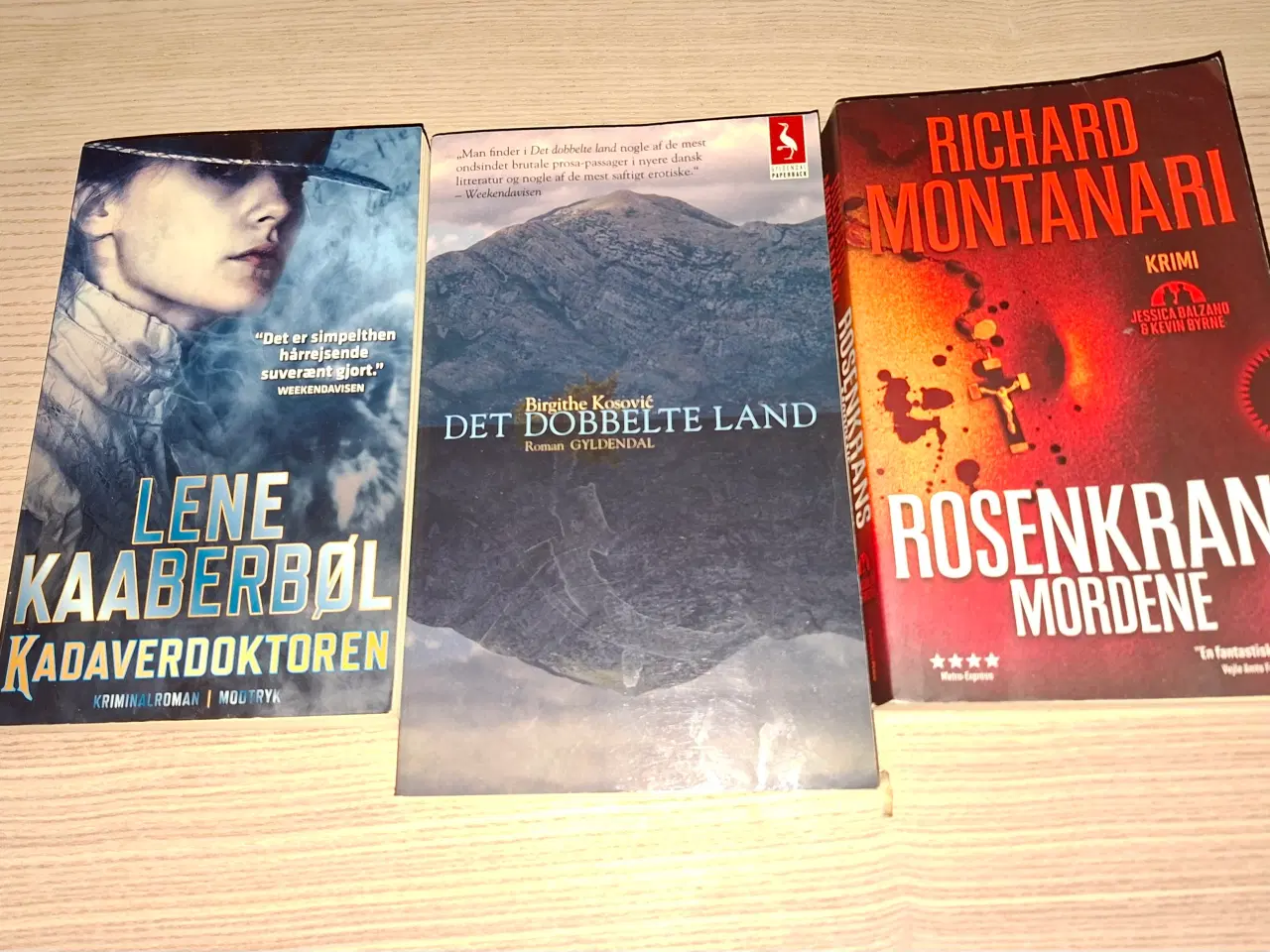 Billede 19 - S King, Dyrekirkegården