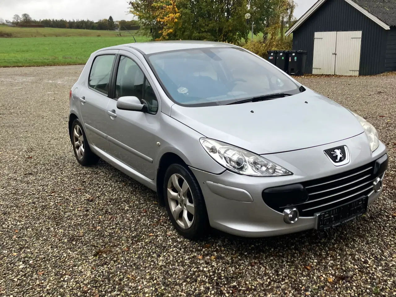 Billede 1 - Peugeot 307