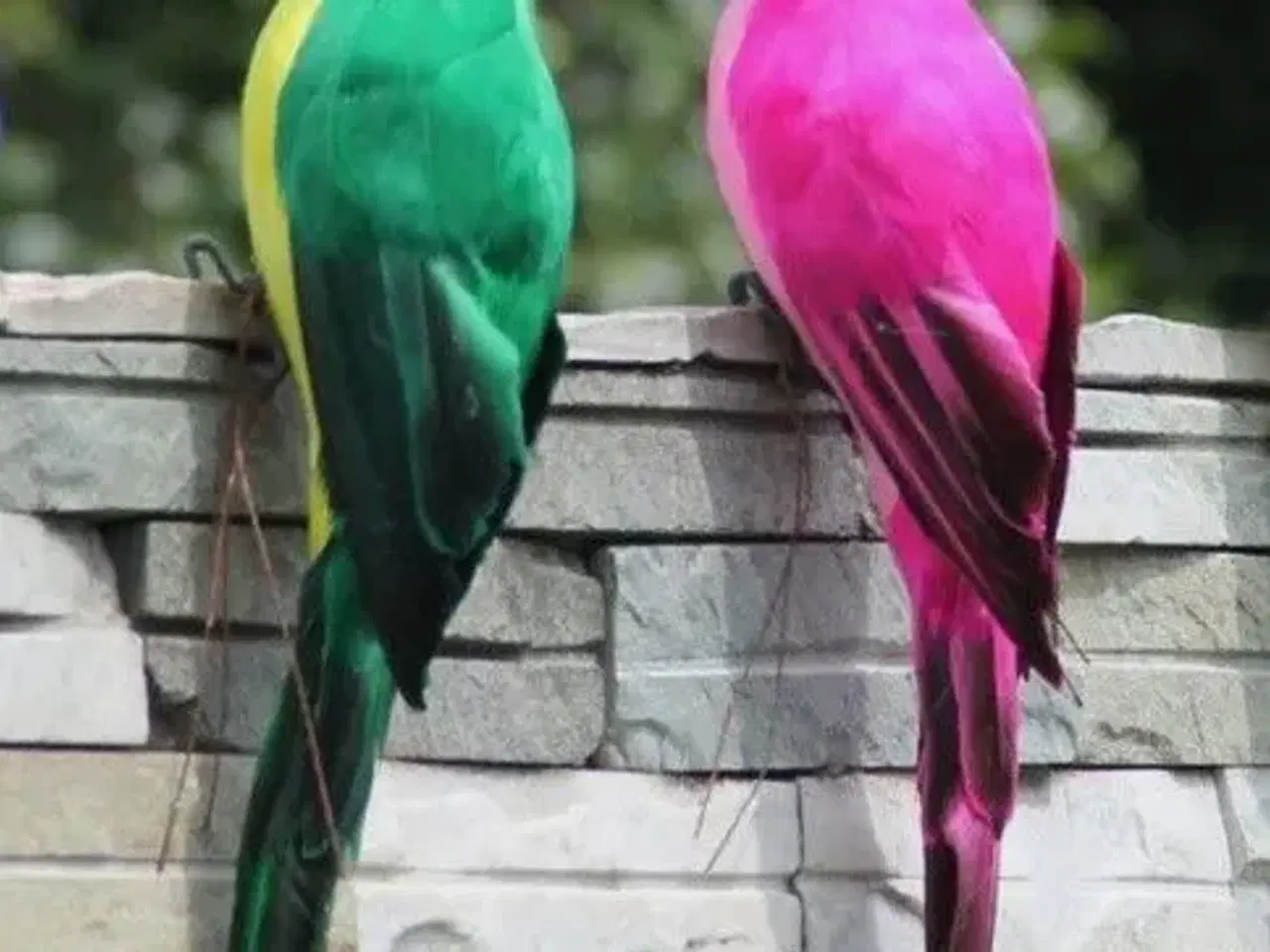 Billede 1 - Kunstige naturtro papegøjer