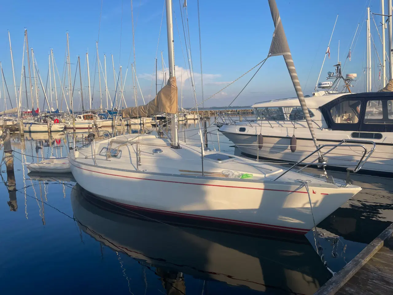Billede 2 - Scampi 30 sejlbåd