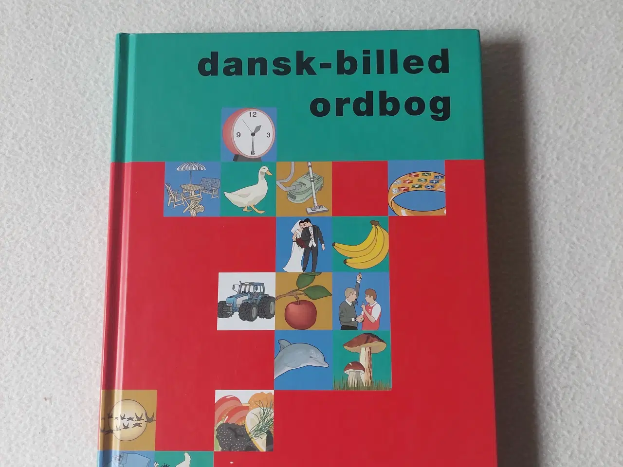 Billede 1 - Dansk-billed ordbog, special-pædagogisk forlag