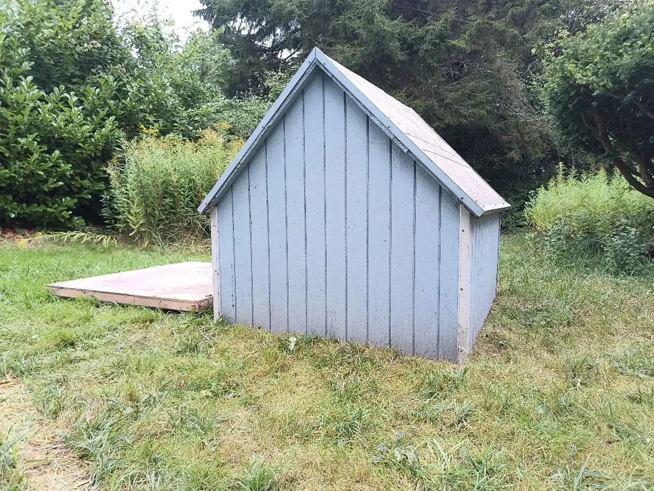 Billede 3 - Stort hundehus kan afhentes gratis.
