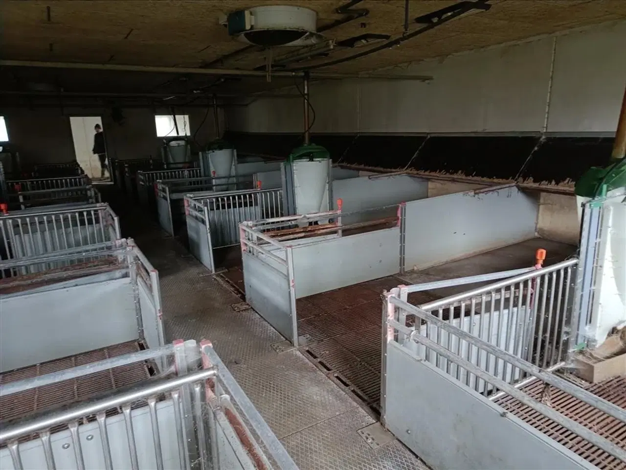 Billede 5 - - - - klima-/smågrise stier  16 stier MOMSFRI