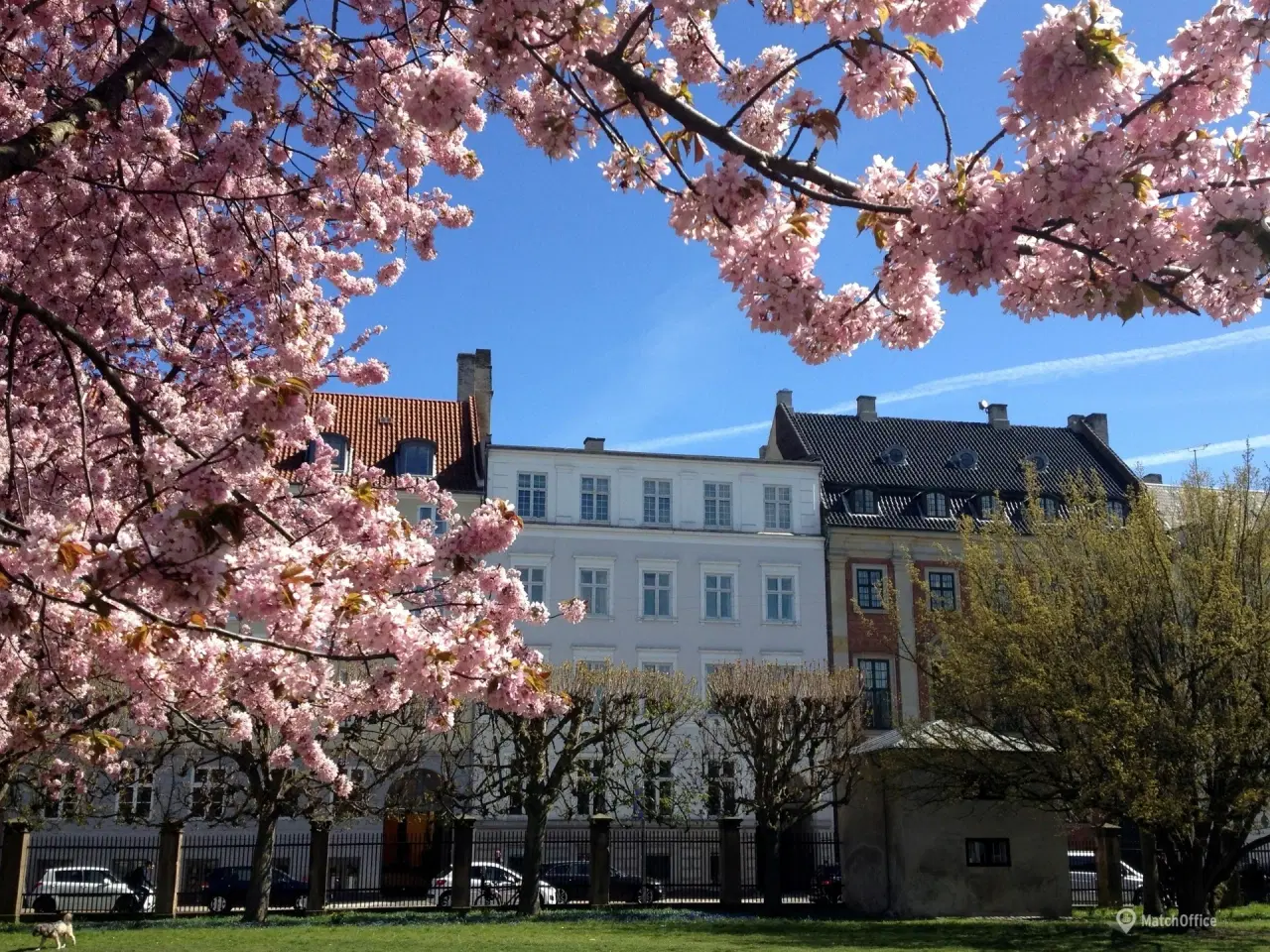 Billede 1 - Kongens Have 5 min fra Nørreport og Kongens Nytorv