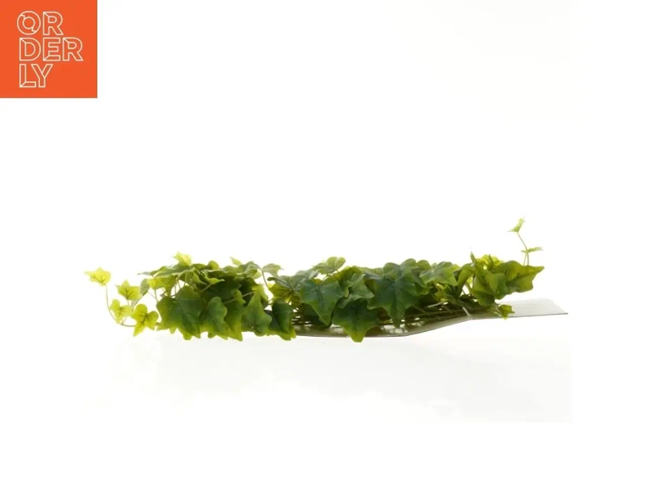 Billede 2 - Kunstig efeu blad ranke fra A market (str. 180 cm)