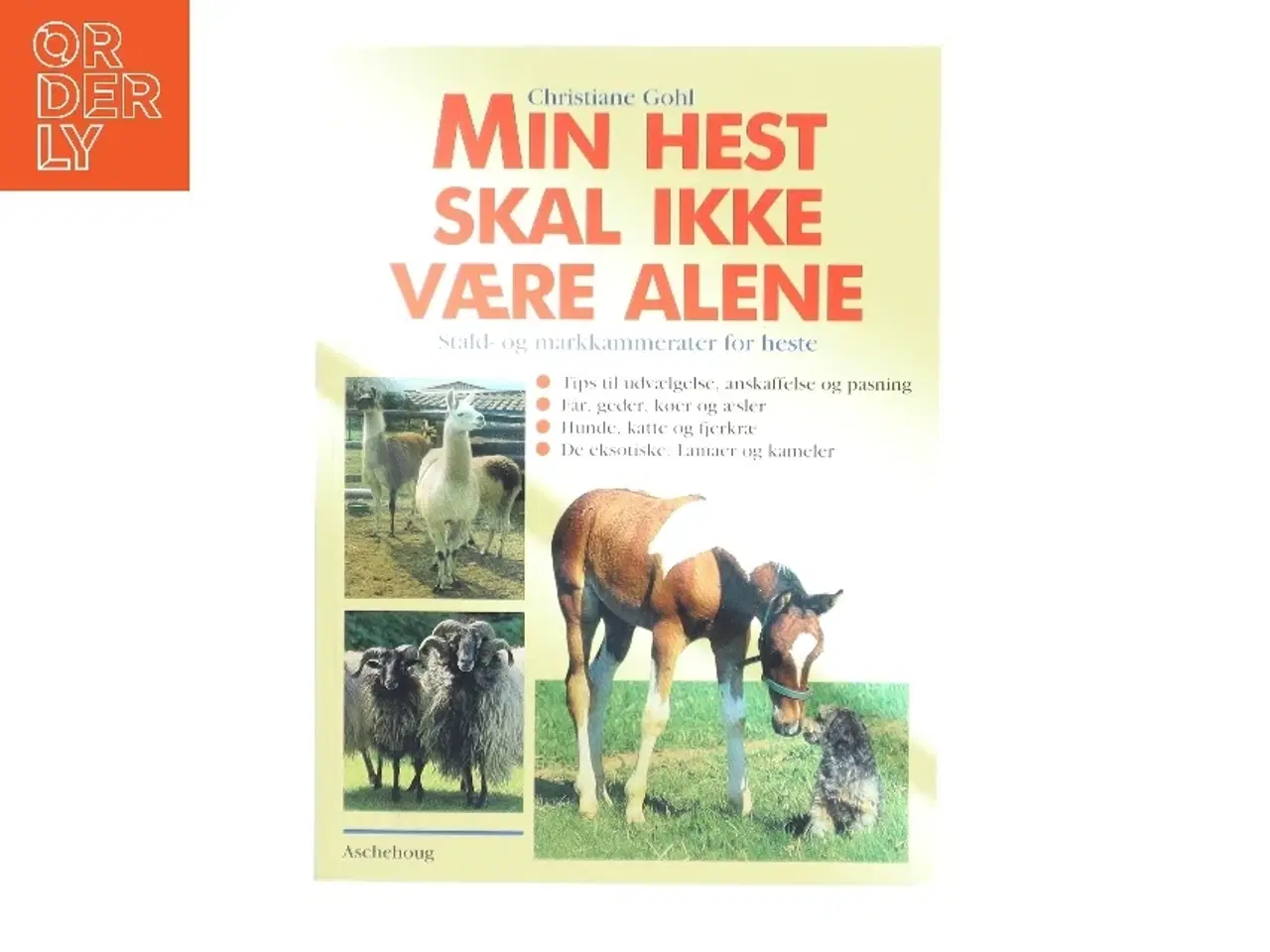 Billede 1 - Min hest skal ikke være alene af Christiane Gohl (Bog)