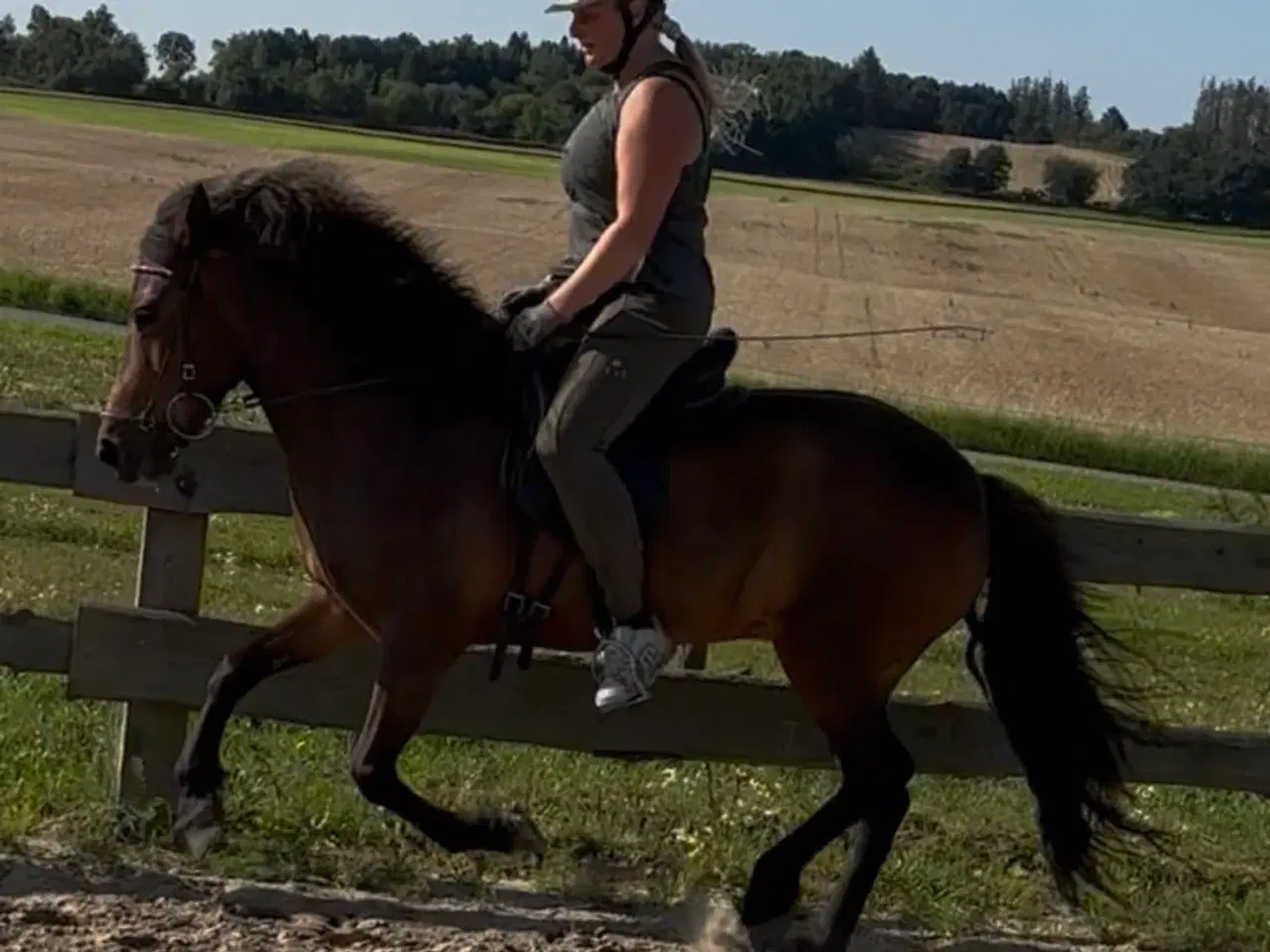 Billede 1 - Cool med masse at tur erfaring