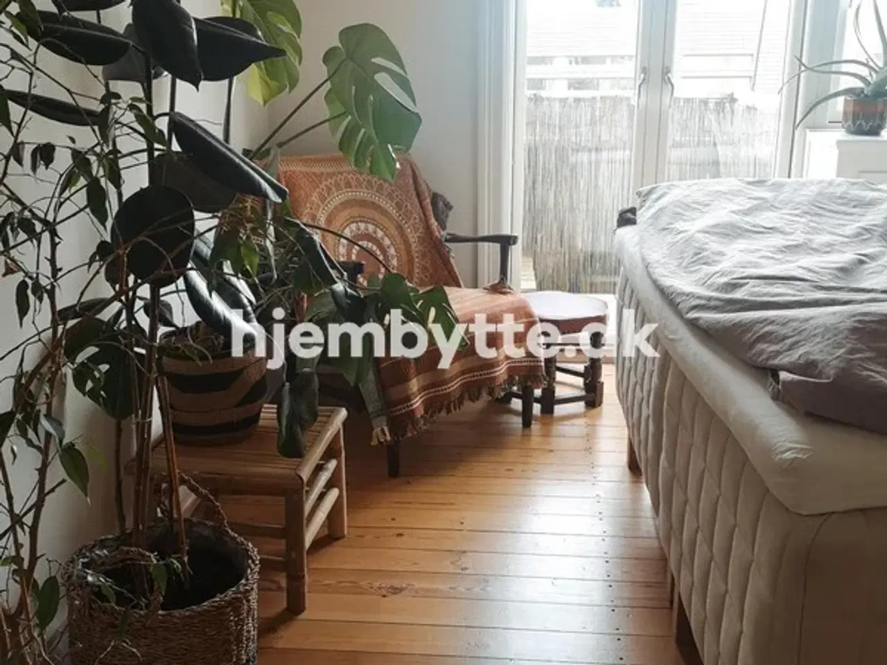 Billede 13 - Hjembytte - Scandiagade