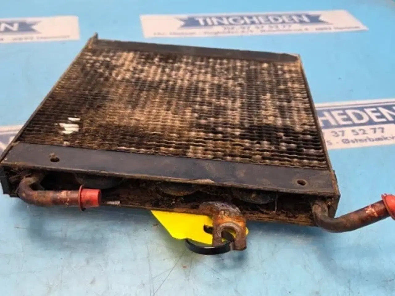 Billede 17 - Massey Ferguson 6260 Køler 3783923M1