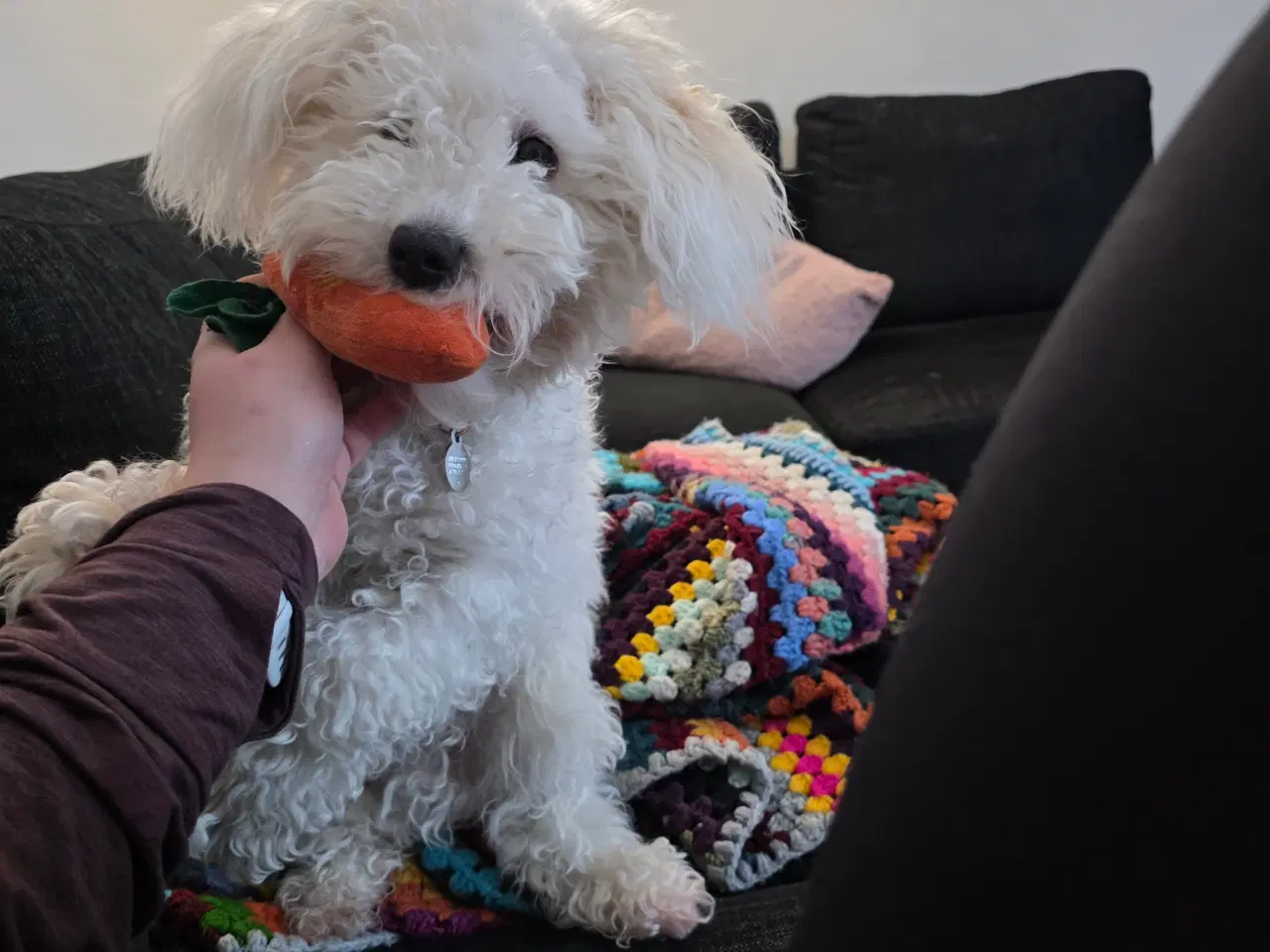 Billede 4 - Ludvig på 11 mdr 